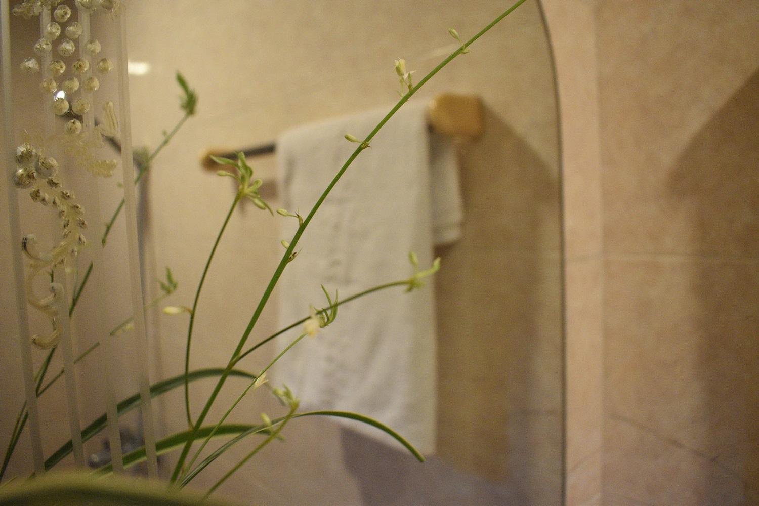 Phuong Trang Hotel Hà Nội Ngoại thất bức ảnh
